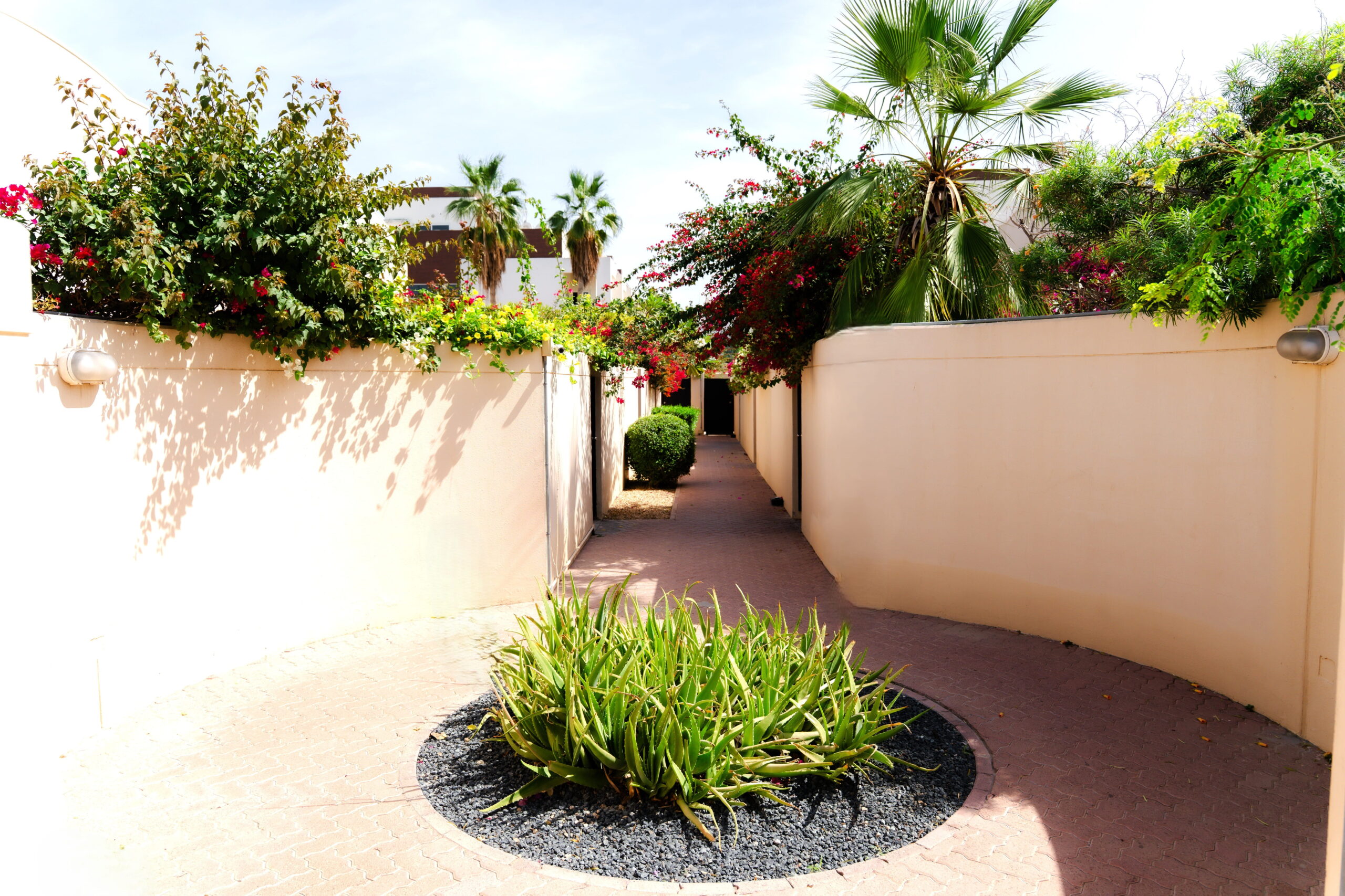06 Back Side Walk Way