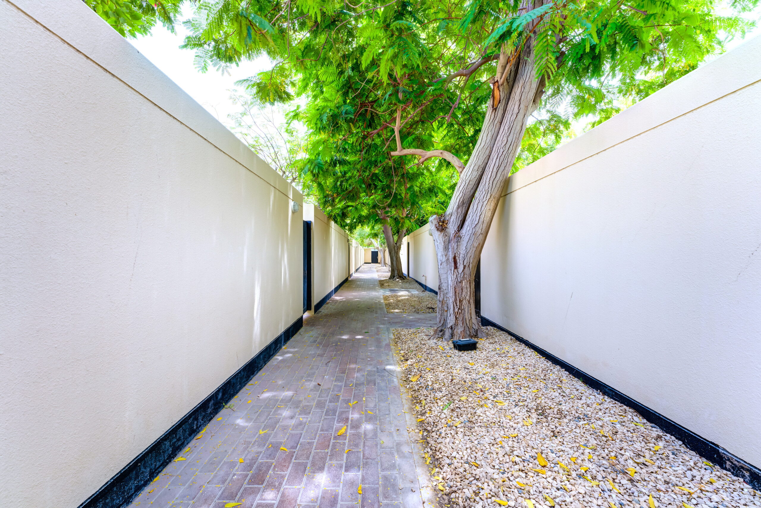 06 Walkway